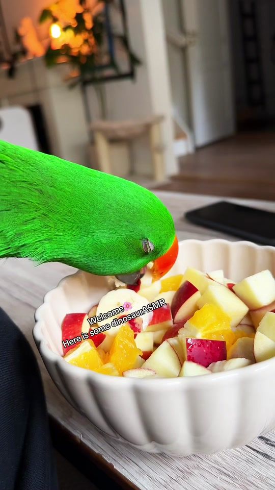 TikTok video thumbnail by flokieclectus