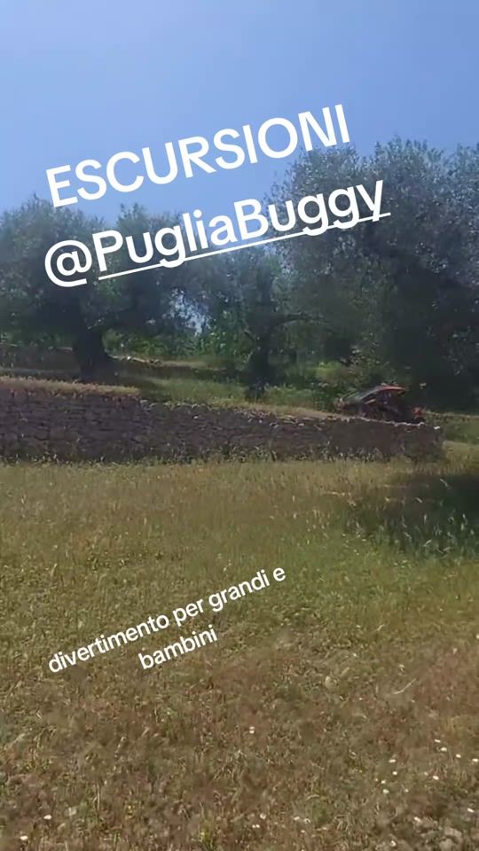 TikTok video thumbnail by puglia_buggy
