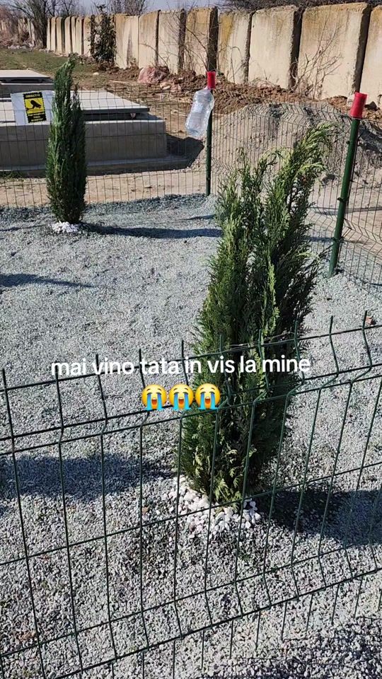 TikTok video thumbnail by andriesraisa