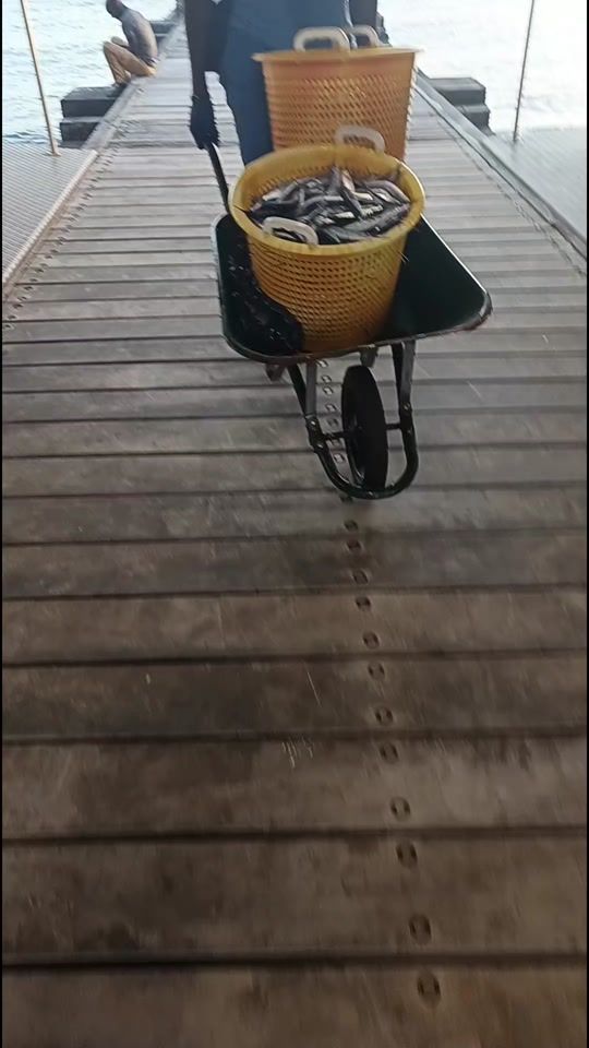 TikTok video thumbnail by friendiz