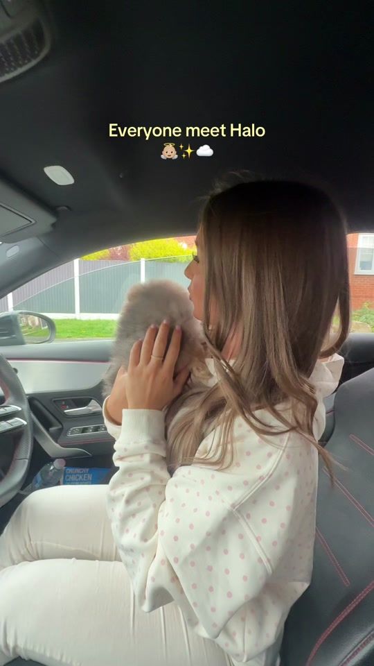 TikTok video thumbnail by willowgait_x