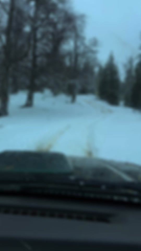 TikTok video thumbnail by georgi19973