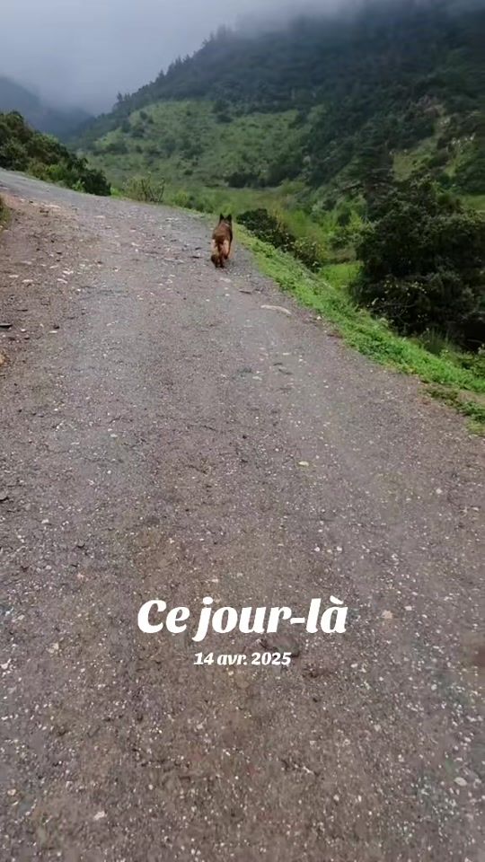 TikTok video thumbnail by barbouh.roxy