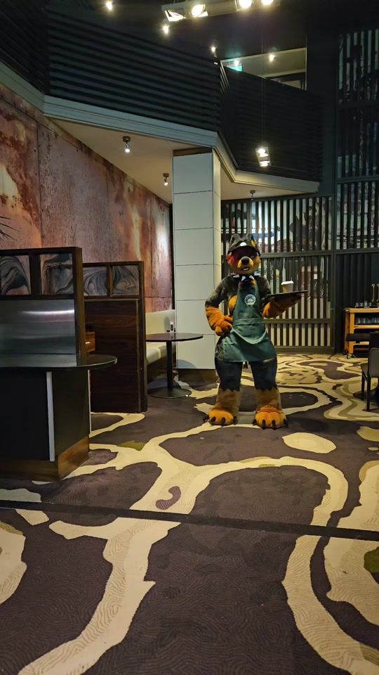 TikTok video thumbnail by guard_mutt