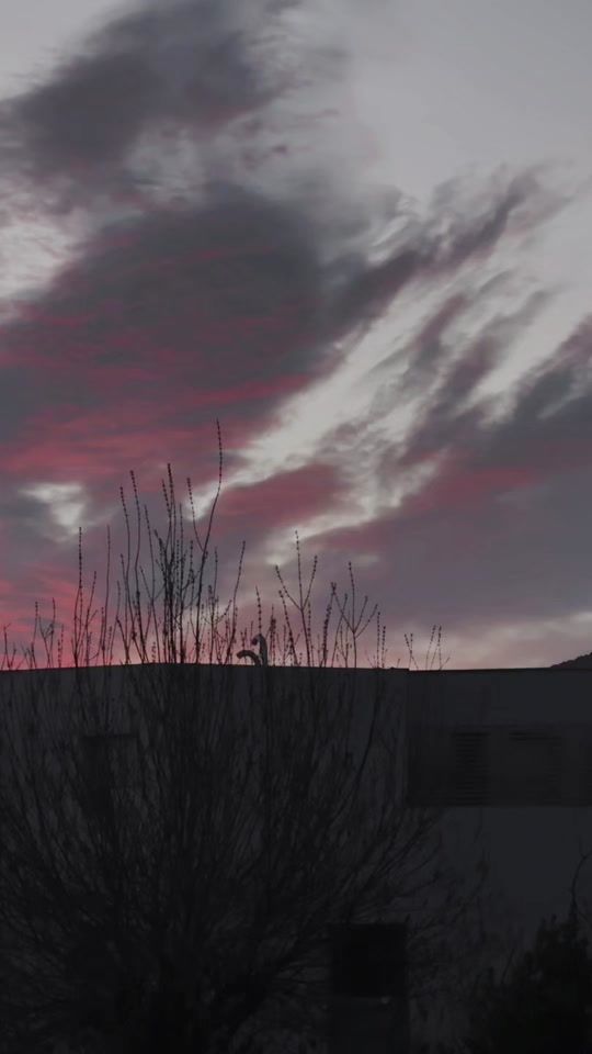 TikTok video thumbnail by hejercha