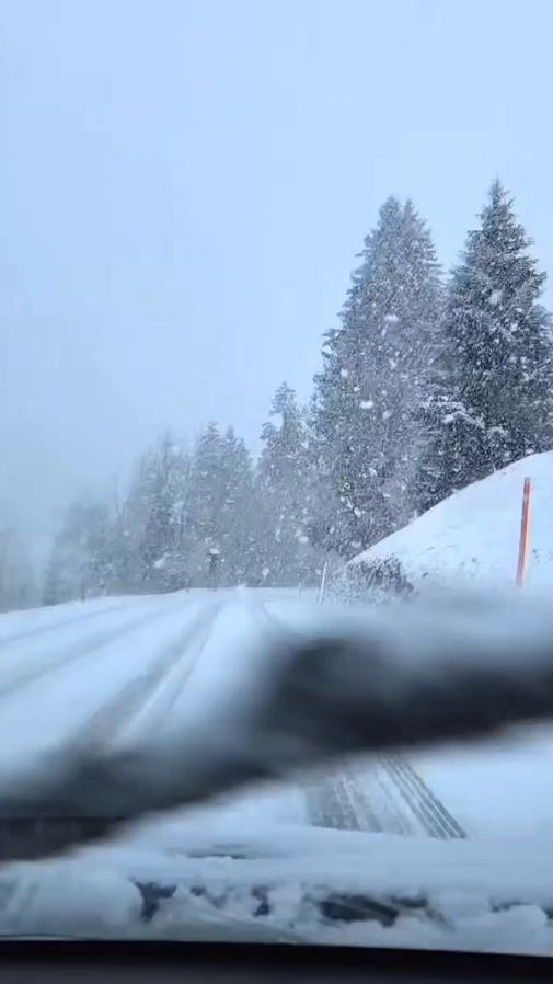 TikTok video thumbnail by swissnature08