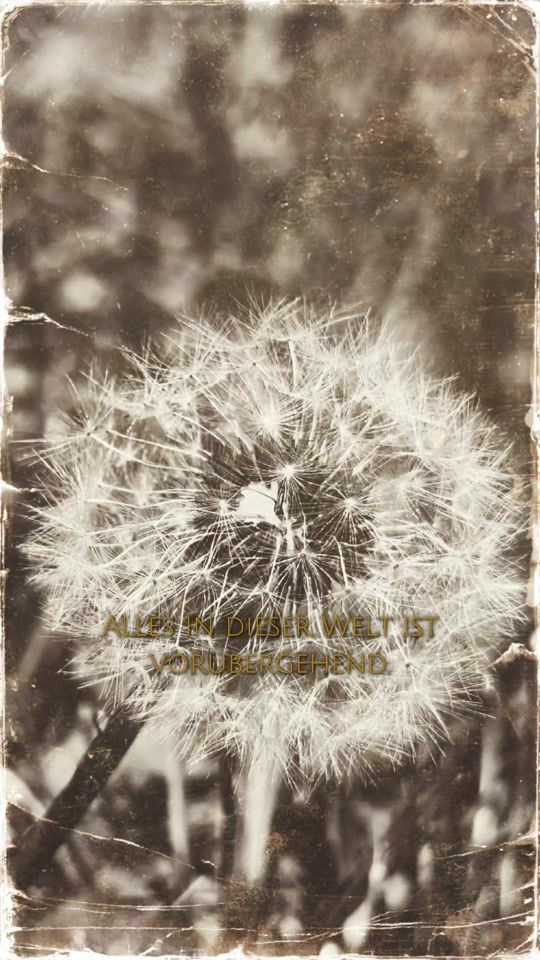 TikTok video thumbnail by claudiasteirermadl