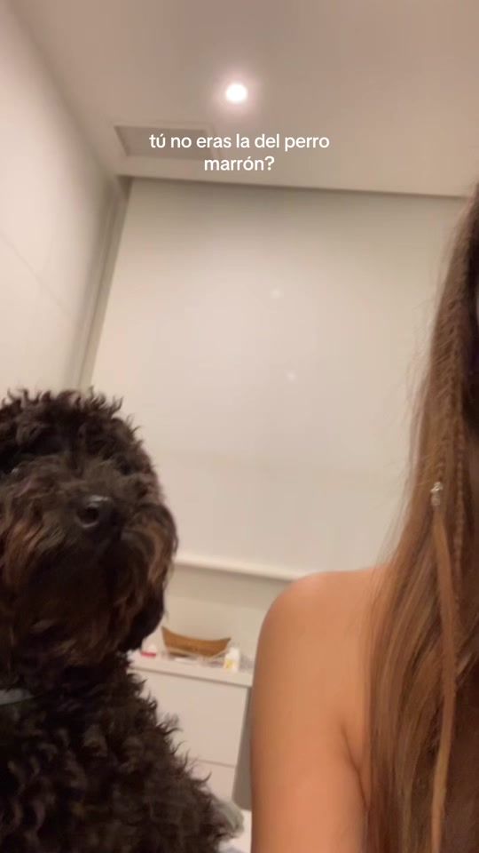 TikTok video thumbnail by carloottaas