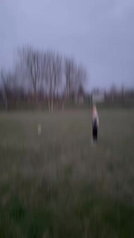 TikTok video thumbnail by carlito.best