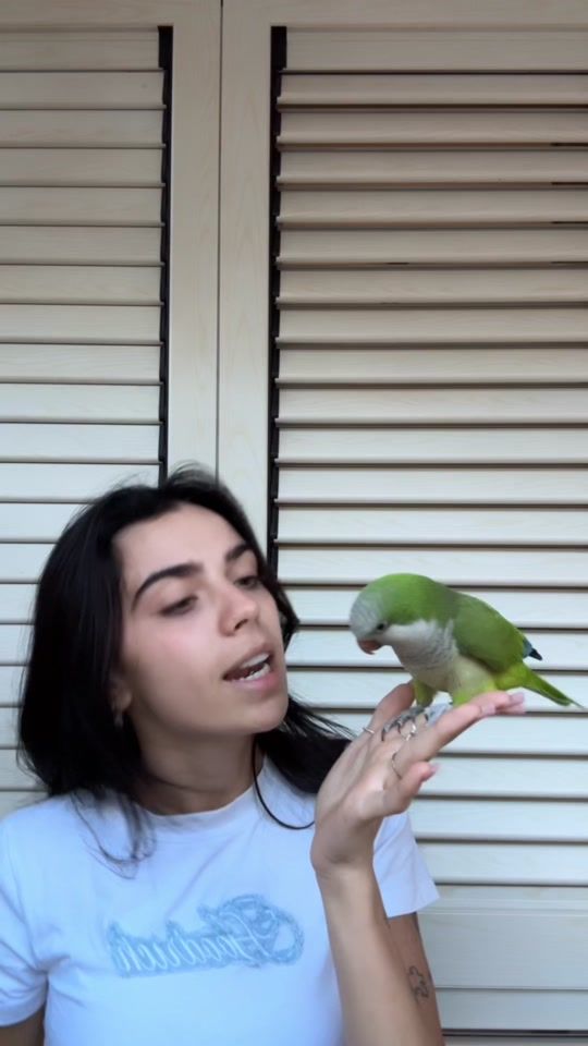 TikTok video thumbnail by nonsonocelestedm