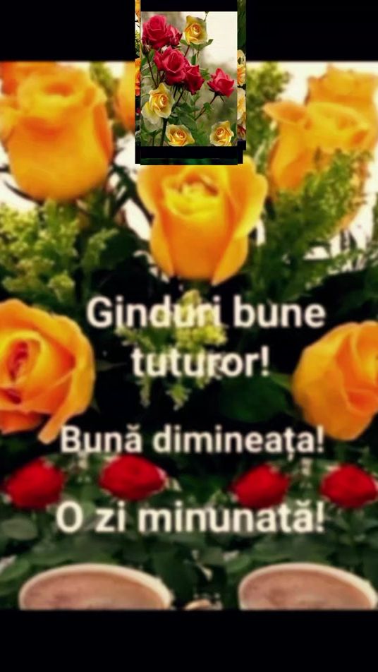 TikTok video thumbnail by d.o.r.a.38