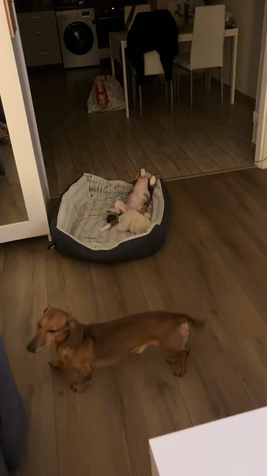 TikTok video thumbnail by fanny.kvcs