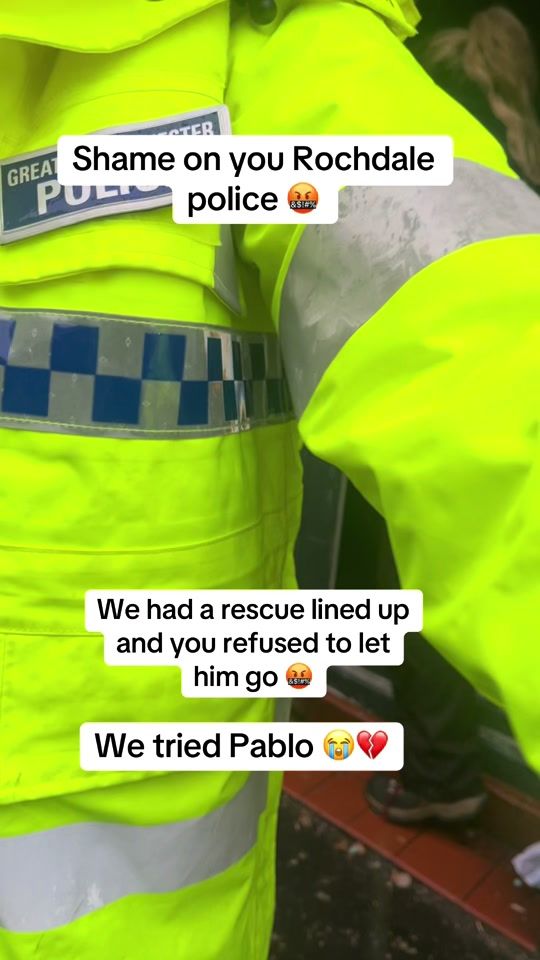 TikTok video thumbnail by rescue2road
