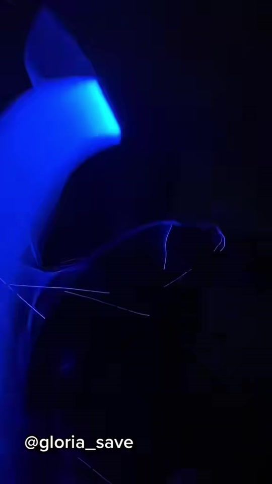 TikTok video thumbnail by gloria_save