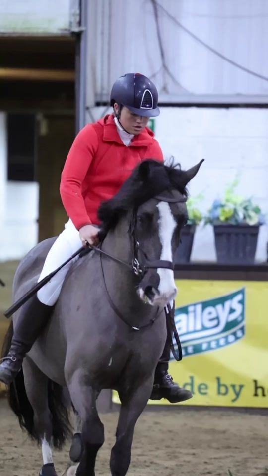 TikTok video thumbnail by fifis_welsh_ponies