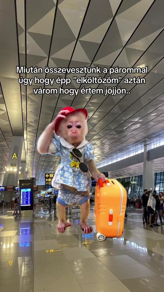 TikTok video thumbnail by jennaborjus