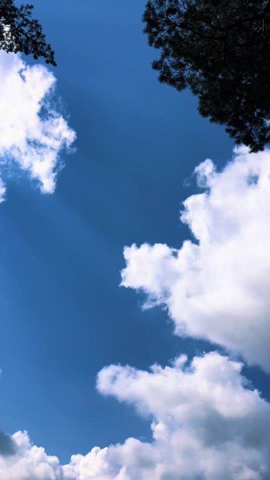 TikTok video thumbnail by rassell1515
