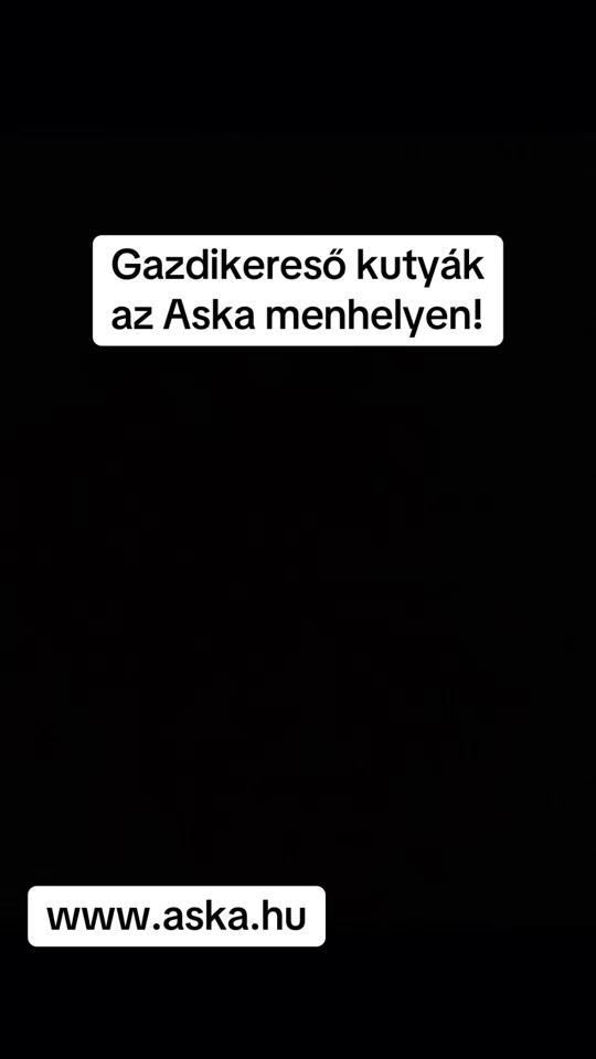 TikTok video thumbnail by menhelyaska