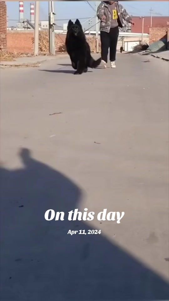 TikTok video thumbnail by samehmohamed9688