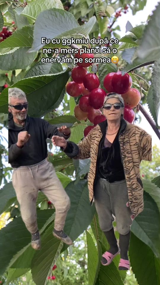 TikTok video thumbnail by funny.octavian
