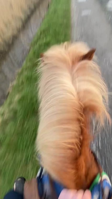 TikTok video thumbnail by lolajackson97