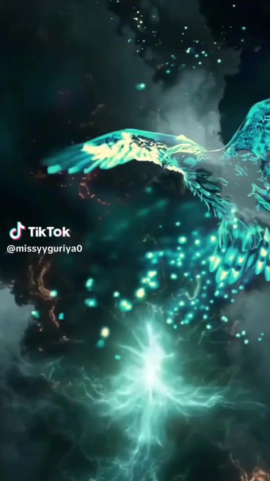 TikTok video thumbnail by joo3614