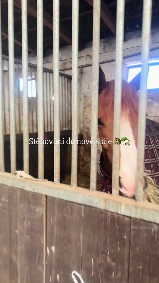 TikTok video thumbnail by _dryndova_