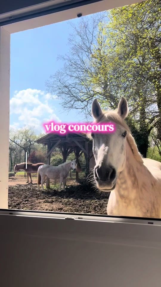 TikTok video thumbnail by romaneguillet_