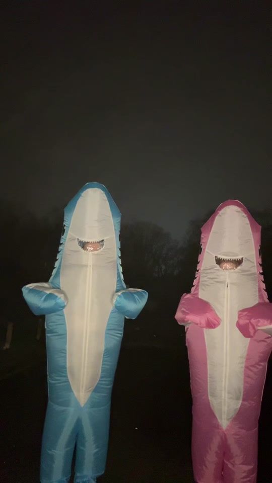 TikTok video thumbnail by twofinfriends