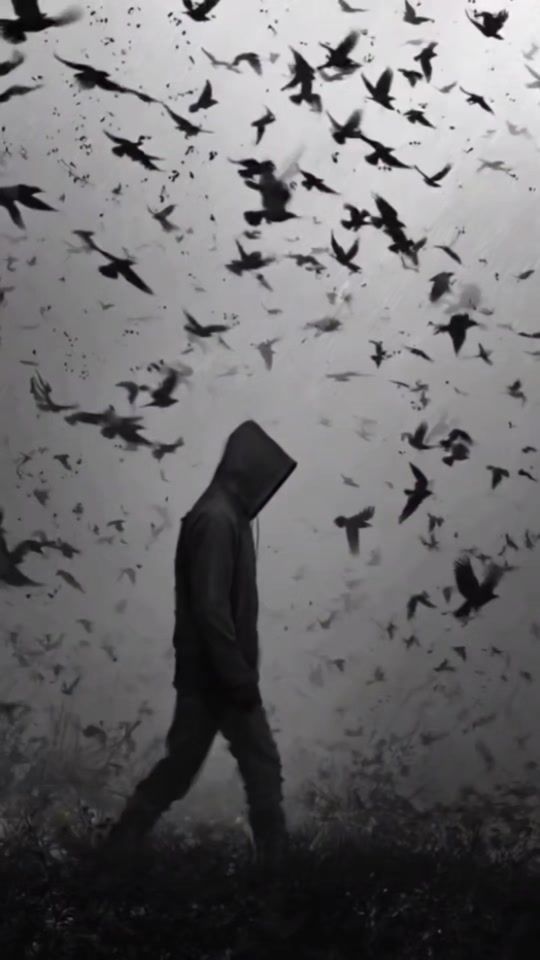 TikTok video thumbnail by dani422027