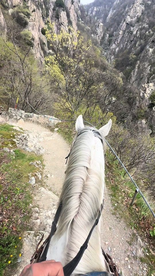 TikTok video thumbnail by ichernev