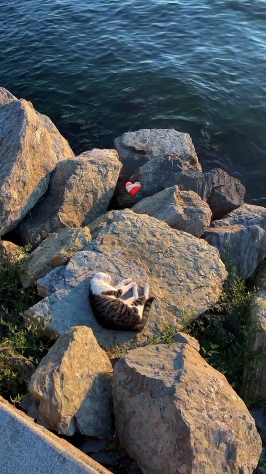 TikTok video thumbnail by ilyas_music0