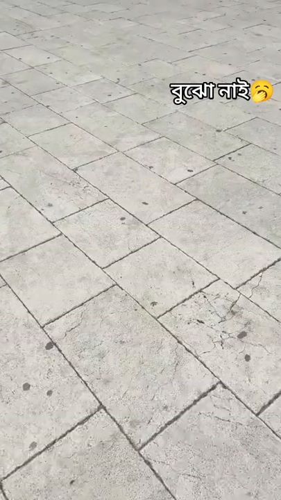 TikTok video thumbnail by nir.ob154