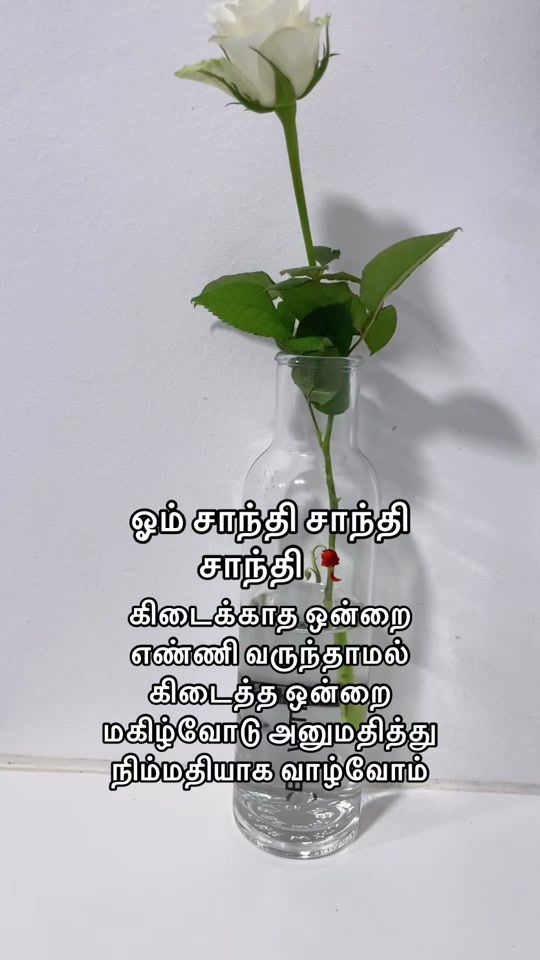 TikTok video thumbnail by k.geetha41