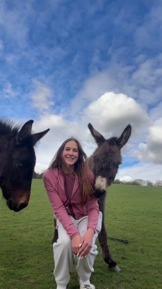 TikTok video thumbnail by libbypartridge.equine