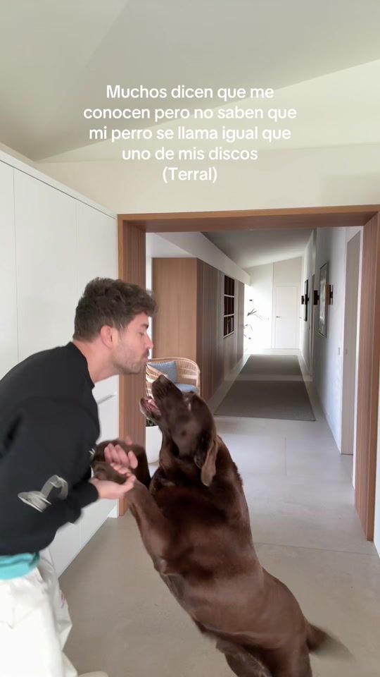 TikTok video thumbnail by pabloalboran