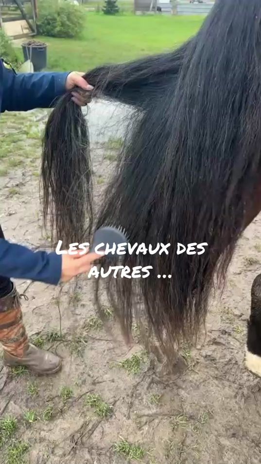 TikTok video thumbnail by tiphainekno