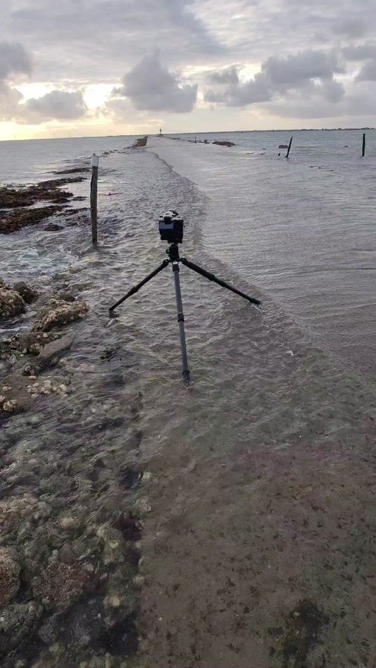 TikTok video thumbnail by photeau85