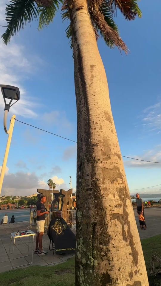 TikTok video thumbnail by gus.barber01