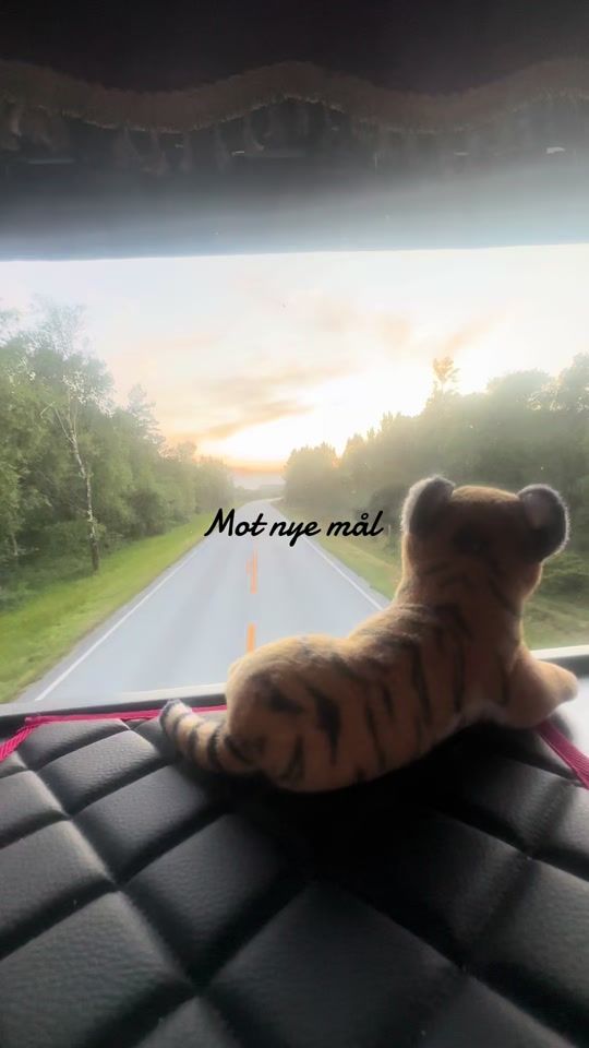 TikTok video thumbnail by scaniajenta