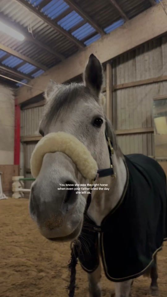 TikTok video thumbnail by emily.og.ponyerne