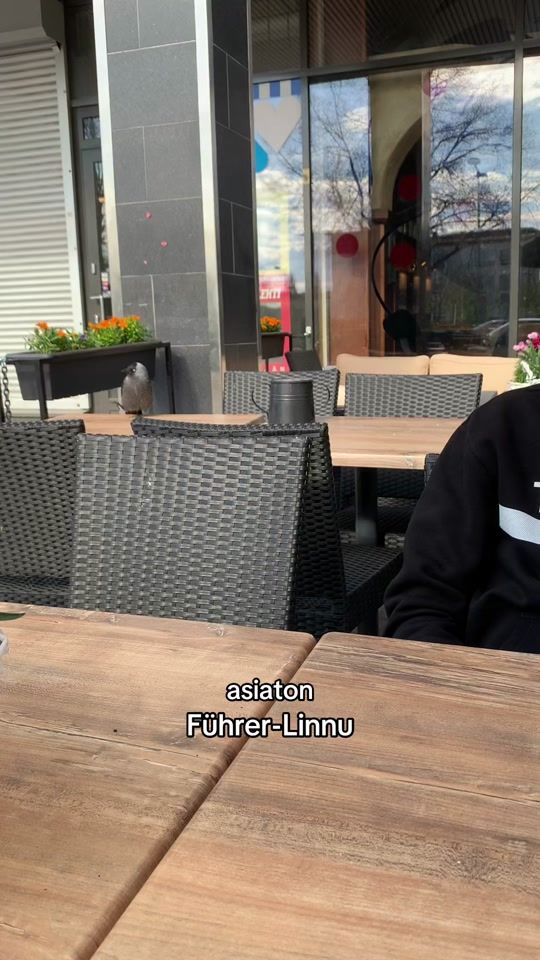 TikTok video thumbnail by _ottopoika