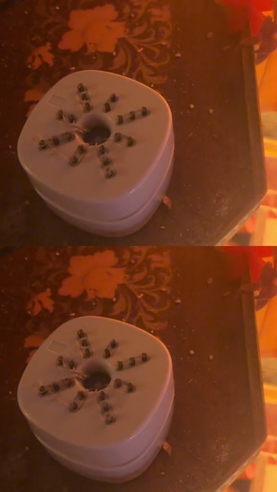 TikTok video thumbnail by fannyfranzen94