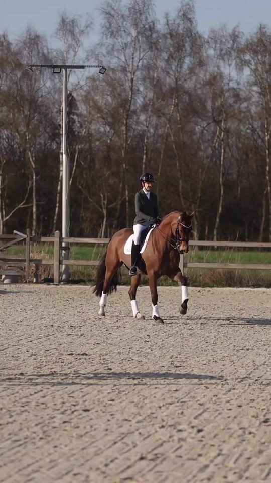 TikTok video thumbnail by steflyncamu