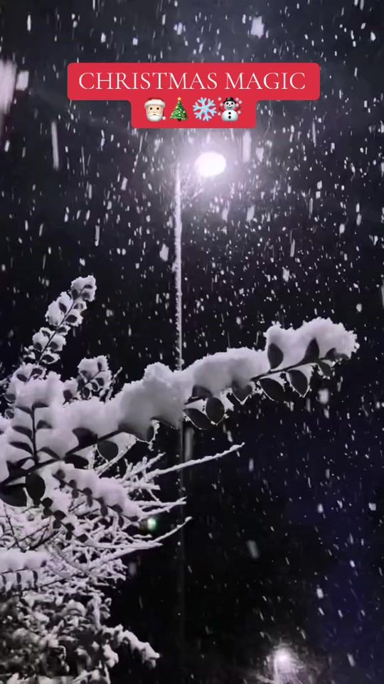 TikTok video thumbnail by christmastime2.0