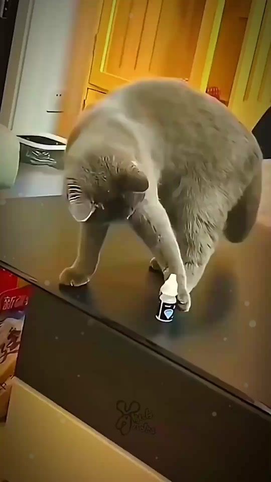 TikTok video thumbnail by dmjames5etoiles