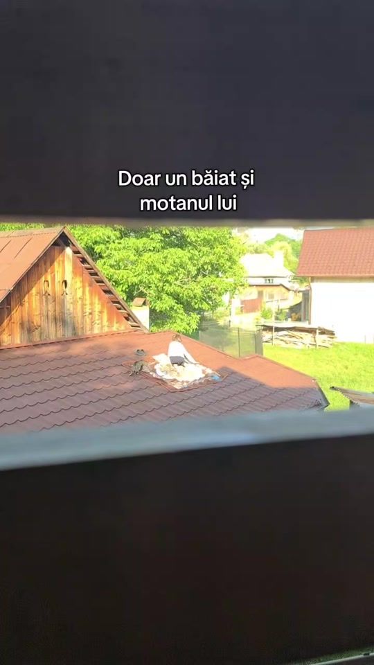 TikTok video thumbnail by andreea.cas