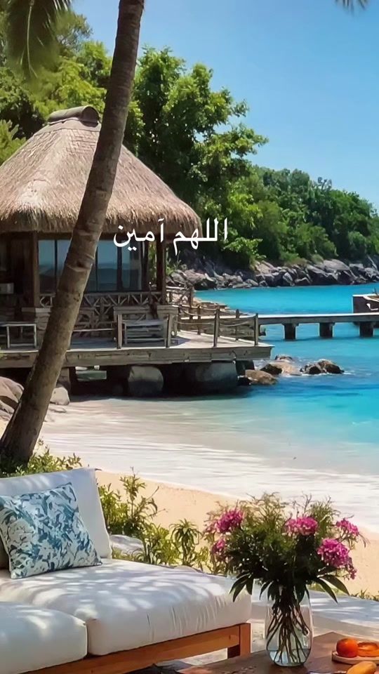TikTok video thumbnail by dhaqan03