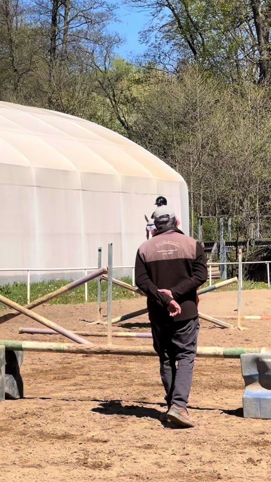 TikTok video thumbnail by nikita.equistrian