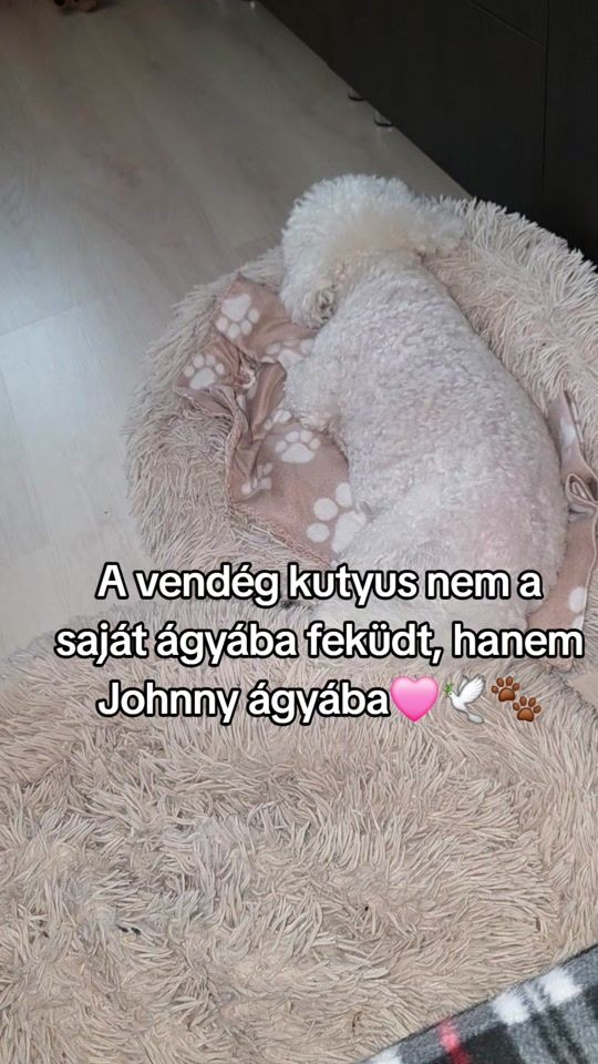 TikTok video thumbnail by dvivienne